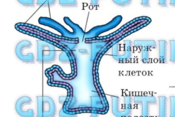 Гидра в даркнете