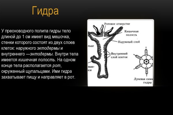 Кракен актуальная ссылка на сегодня