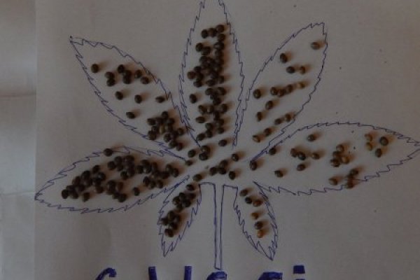 Солярис сайт даркнет войти
