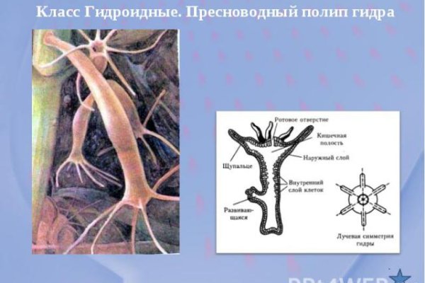 Кракен тор ссылка магазин