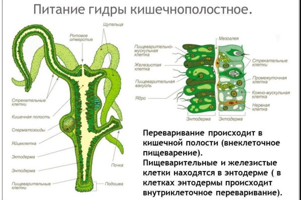 Kraken 4 ссылка