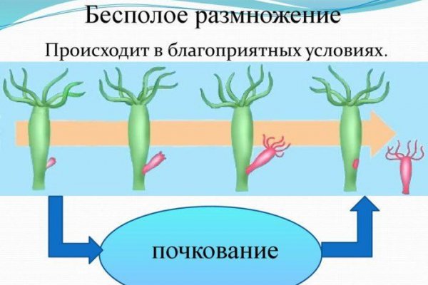 Блэкспрут магазин моментальных покупок