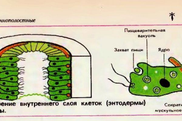 Кракен зеркало gigageek ru