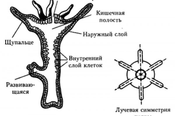 Ссылки на солярис зеркало