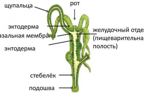 Вывести деньги с кракена