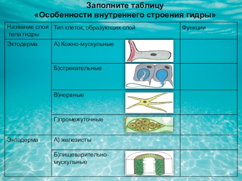 Новая ссылка на кракен